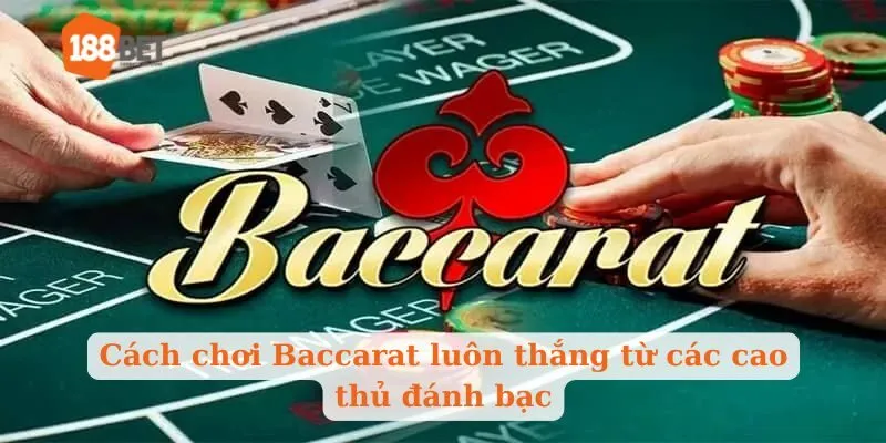 Cách chơi Baccarat luôn thắng từ các cao thủ đánh bạc