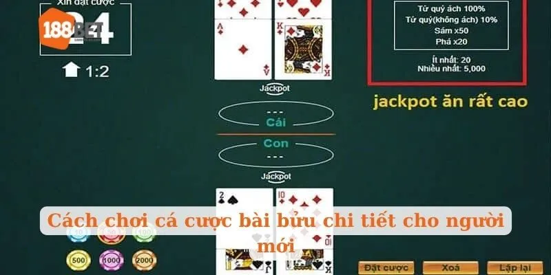 Cách chơi cá cược bài bửu chi tiết cho người mới