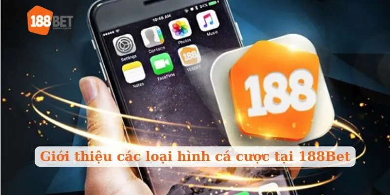 Giới thiệu các loại hình cá cược tại 188Bet