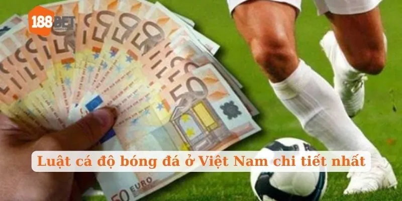 Luật cá độ bóng đá ở Việt Nam chi tiết nhất