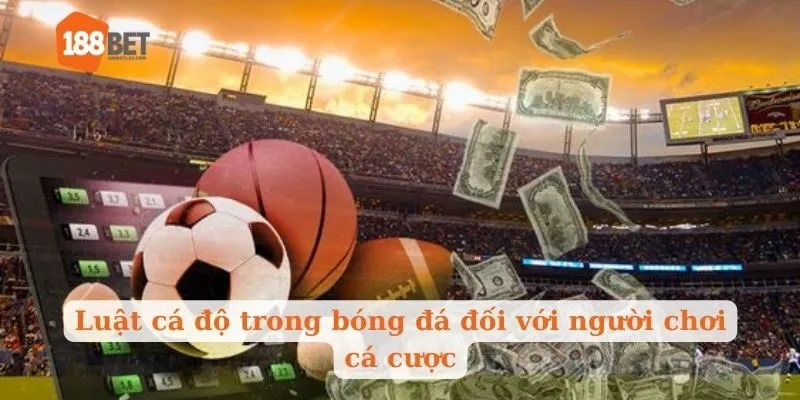 Luật cá độ trong bóng đá đối với người chơi cá cược