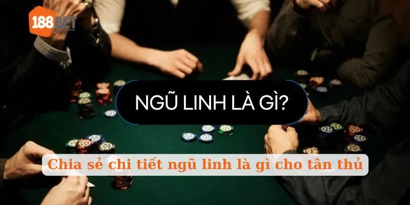 Chia sẻ chi tiết ngũ linh là gì cho tân thủ