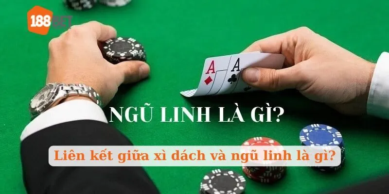 Liên kết giữa xì dách và ngũ linh là gì?