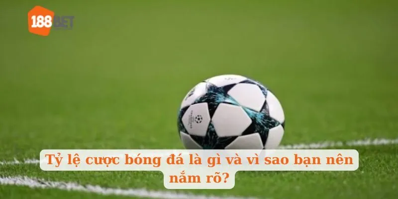 Tỷ lệ cược bóng đá là gì và vì sao bạn nên nắm rõ?