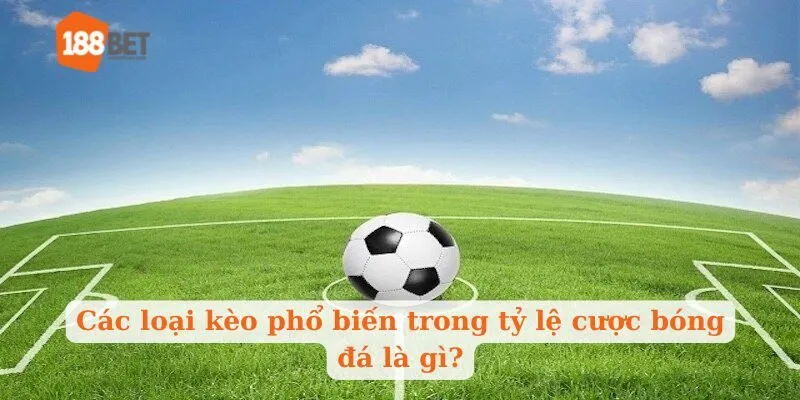 Các loại kèo phổ biến trong tỷ lệ cược bóng đá là gì?